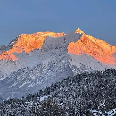 圣热尔韦莱班Vue Splendide Mont Blanc公寓 外观 照片