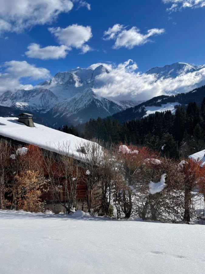 圣热尔韦莱班Vue Splendide Mont Blanc公寓 外观 照片