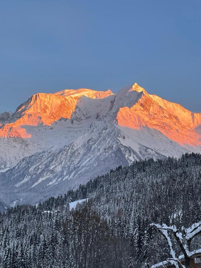 圣热尔韦莱班Vue Splendide Mont Blanc公寓 外观 照片