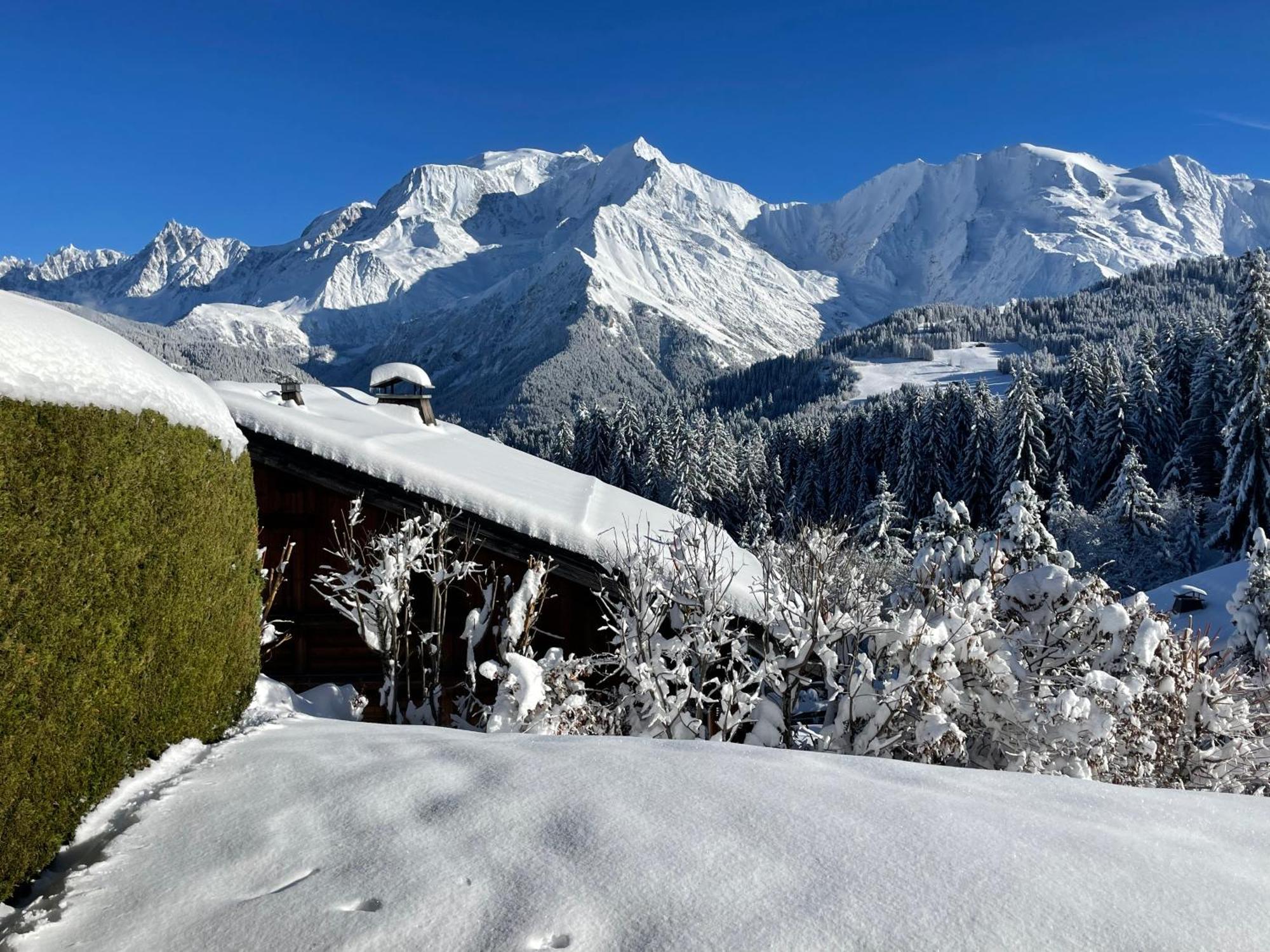 圣热尔韦莱班Vue Splendide Mont Blanc公寓 外观 照片